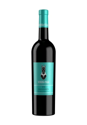 SAUVIGNON Venezia Giulia IGT 2019